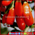 Goji Beere Pulver Vorteile von Goji Beeren getrocknet Goji Beere Como Usar